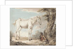 An Old Grey Horse Tethered to a Tree, a Boy resting nearby by Paul Sandby