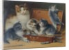 Mother Cat and her Kittens playing in a Paint Box by Wilhelm Schwar