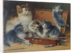Mother Cat and her Kittens playing in a Paint Box by Wilhelm Schwar