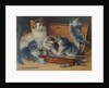 Mother Cat and her Kittens playing in a Paint Box by Wilhelm Schwar