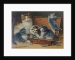 Mother Cat and her Kittens playing in a Paint Box by Wilhelm Schwar