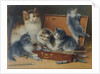 Mother Cat and her Kittens playing in a Paint Box by Wilhelm Schwar