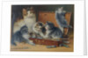 Mother Cat and her Kittens playing in a Paint Box by Wilhelm Schwar