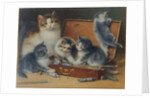 Mother Cat and her Kittens playing in a Paint Box by Wilhelm Schwar
