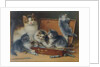Mother Cat and her Kittens playing in a Paint Box by Wilhelm Schwar