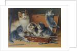 Mother Cat and her Kittens playing in a Paint Box by Wilhelm Schwar