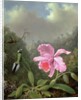 Still Life with an Orchid and a Pair of Hummingbirds, c.1890s by Martin Johnson Heade