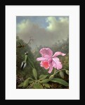 Still Life with an Orchid and a Pair of Hummingbirds, c.1890s by Martin Johnson Heade