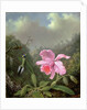 Still Life with an Orchid and a Pair of Hummingbirds, c.1890s by Martin Johnson Heade