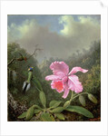 Still Life with an Orchid and a Pair of Hummingbirds, c.1890s by Martin Johnson Heade