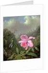 Still Life with an Orchid and a Pair of Hummingbirds, c.1890s by Martin Johnson Heade