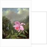 Still Life with an Orchid and a Pair of Hummingbirds, c.1890s by Martin Johnson Heade