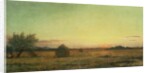 Jersey Meadows by Martin Johnson Heade