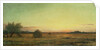 Jersey Meadows by Martin Johnson Heade