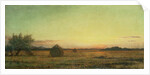 Jersey Meadows by Martin Johnson Heade