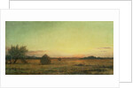 Jersey Meadows by Martin Johnson Heade