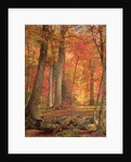Path in the Forest, 1865 by William Trost Richards