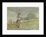 Tending Sheep, Houghton Farm, c.1878-79 by Winslow Homer