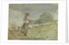 Tending Sheep, Houghton Farm, c.1878-79 by Winslow Homer