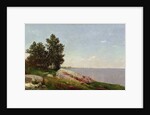Long Island Sound at Darien by John Frederick Kensett