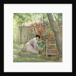 Tending the Garden by Robert Reid