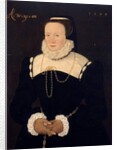 Portrait of a lady, 1575 by Cornelis Ketel