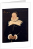 Portrait of a lady, 1575 by Cornelis Ketel