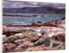 Sound of Iona, the Burg from the north shore by Francis Campbell Boileau Cadell