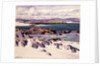 White Sands, Iona by Francis Campbell Boileau Cadell