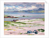 Towards Mull from Choc Ard Anraidh, Iona, c.1928 by Francis Campbell Boileau Cadell