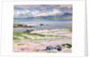Towards Mull from Choc Ard Anraidh, Iona, c.1928 by Francis Campbell Boileau Cadell