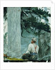 The Guide, 1895 by Winslow Homer