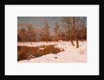 A November Evening by Ivan Fedorovich Choultse