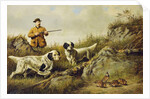Amos F. Adams Shooting Over Gus Bondher and Son, Count Bondher, 1887 by Arthur Fitzwilliam Tait