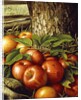 Apples and Tree Trunk, 1891 by Levi Wells Prentice