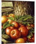 Apples and Tree Trunk, 1891 by Levi Wells Prentice