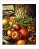 Apples and Tree Trunk, 1891 by Levi Wells Prentice