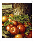 Apples and Tree Trunk, 1891 by Levi Wells Prentice