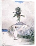 Along the Road, the Bahamas, 1885 by Winslow Homer
