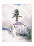 Along the Road, the Bahamas, 1885 by Winslow Homer