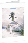 Along the Road, the Bahamas, 1885 by Winslow Homer