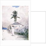 Along the Road, the Bahamas, 1885 by Winslow Homer