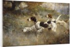 The Setters Three, Bob, Bill and Ginger on a triple point, 1927 by Percival Leonard Rosseau