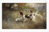 The Setters Three, Bob, Bill and Ginger on a triple point, 1927 by Percival Leonard Rosseau