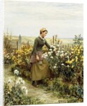 The Gardener's Daughter by Daniel Ridgway Knight