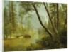 Sunlit Forest by Albert Bierstadt