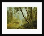 Sunlit Forest by Albert Bierstadt