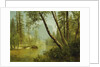 Sunlit Forest by Albert Bierstadt
