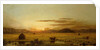 Sunrise, Hoboken Meadows, c.1875-1885 by Martin Johnson Heade