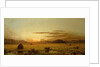Sunrise, Hoboken Meadows, c.1875-1885 by Martin Johnson Heade